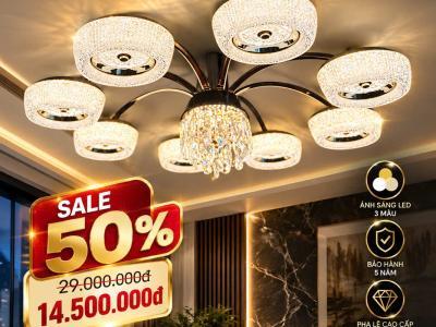 SALE OFF 50%